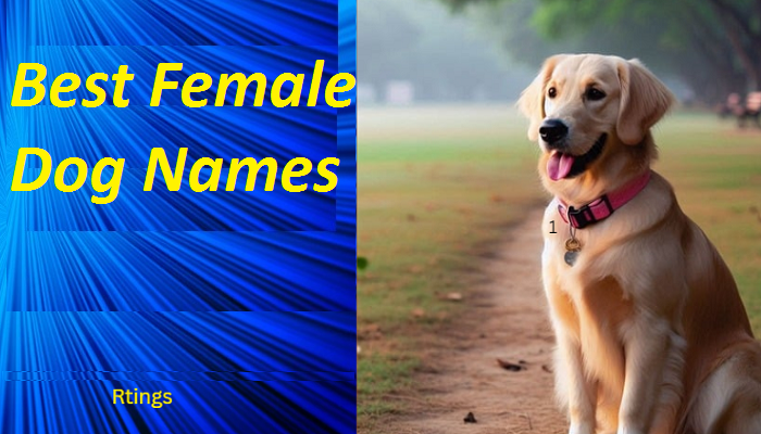 Best Female Dog Names