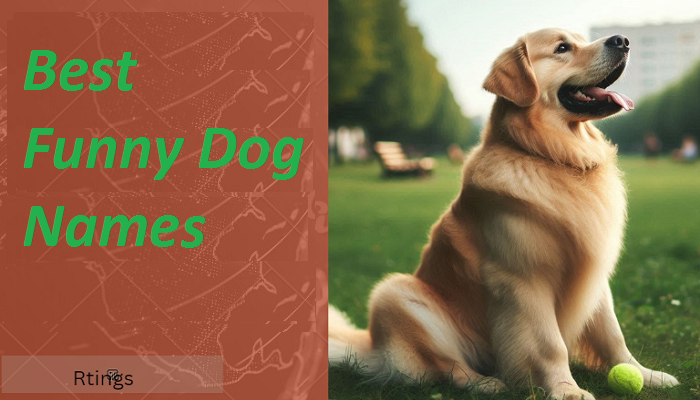 Best Funny Dog Names 