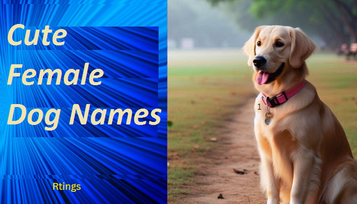 Cute Female Dog Names