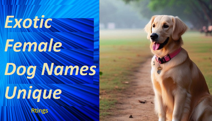 Exotic Female Dog Names Unique