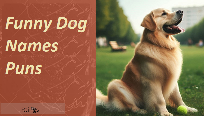 Funny Dog Names Puns