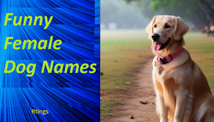 Funny Female Dog Names