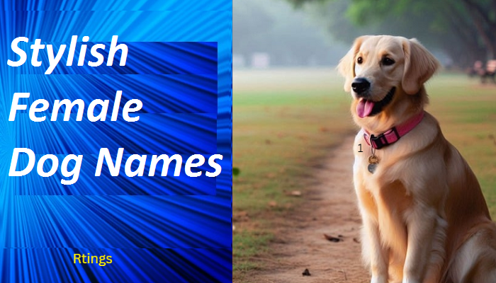 Stylish Female Dog Names