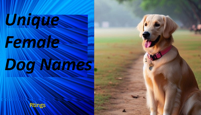 Unique Female Dog Names