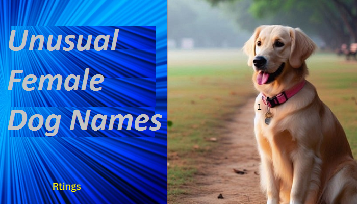 Unusual Female Dog Names
