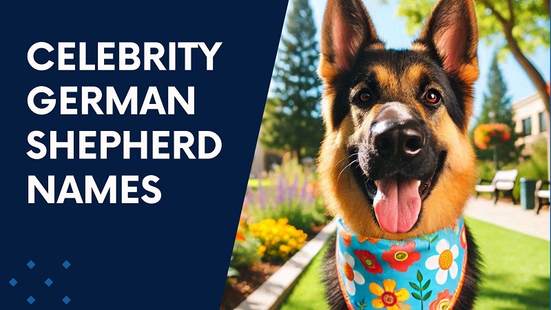 Celebrity German Shepherd Names