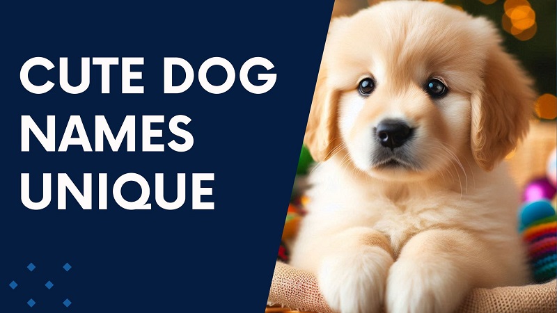 Cute Dog Names Unique