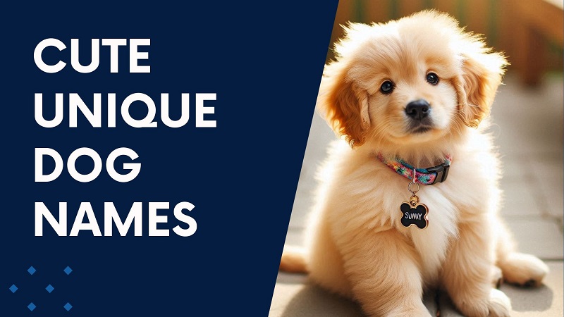 Cute Unique Dog Names