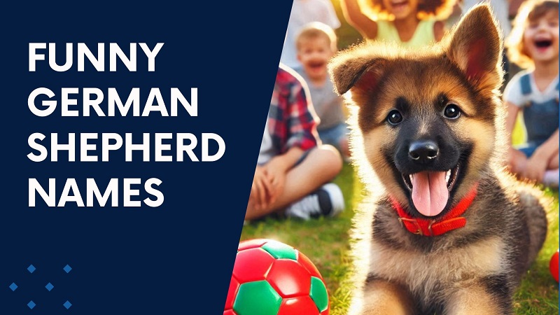 Funny German Shepherd Names