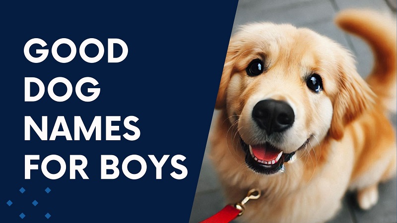 Good Dog Names For Boys