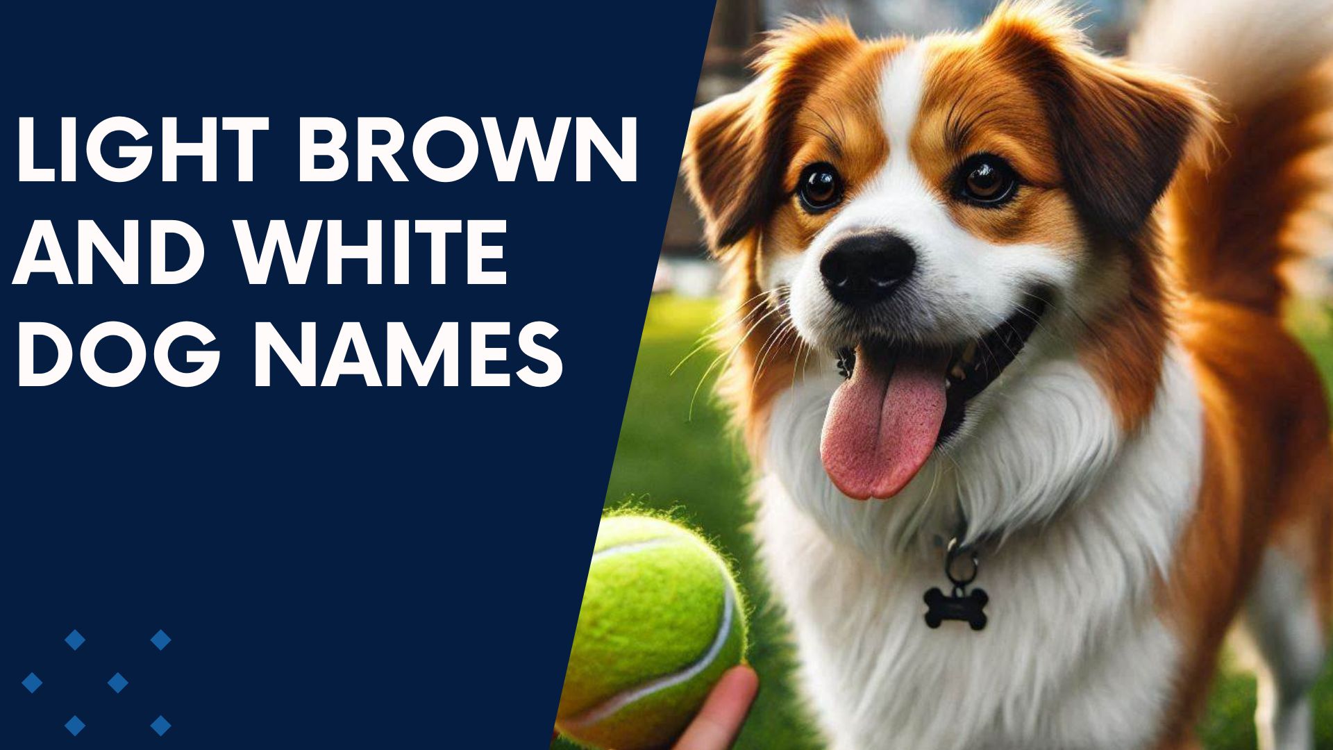 Light Brown and White Dog Names